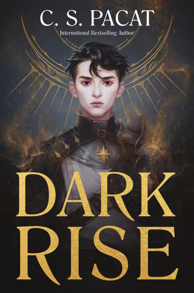 Dark Rise Cover
